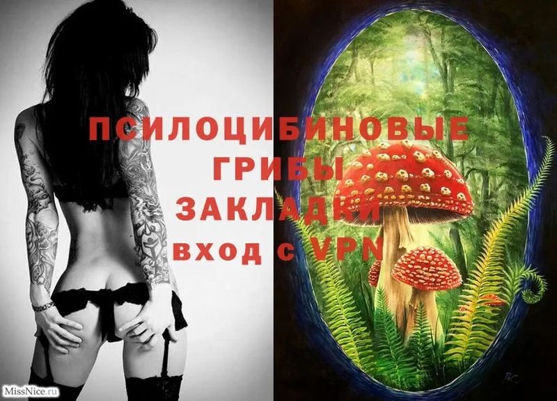 купить закладку  Бирюч  Псилоцибиновые грибы Psilocybe 